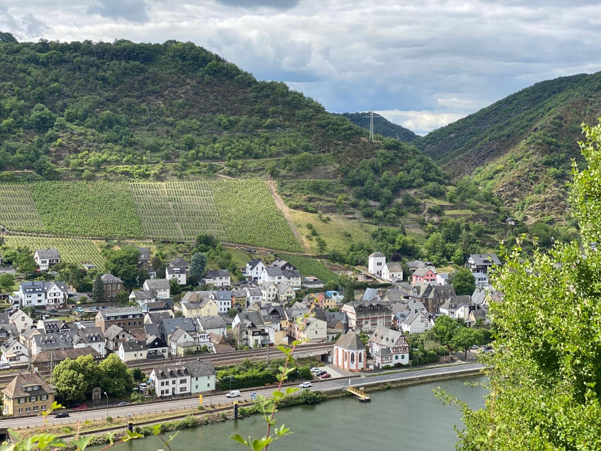 Mike'S Mosel Lodge Treis-Karden Exteriör bild